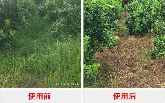 这3种除草剂，草铵膦、草甘膦、敌草快怎样用除草效果才最好？1