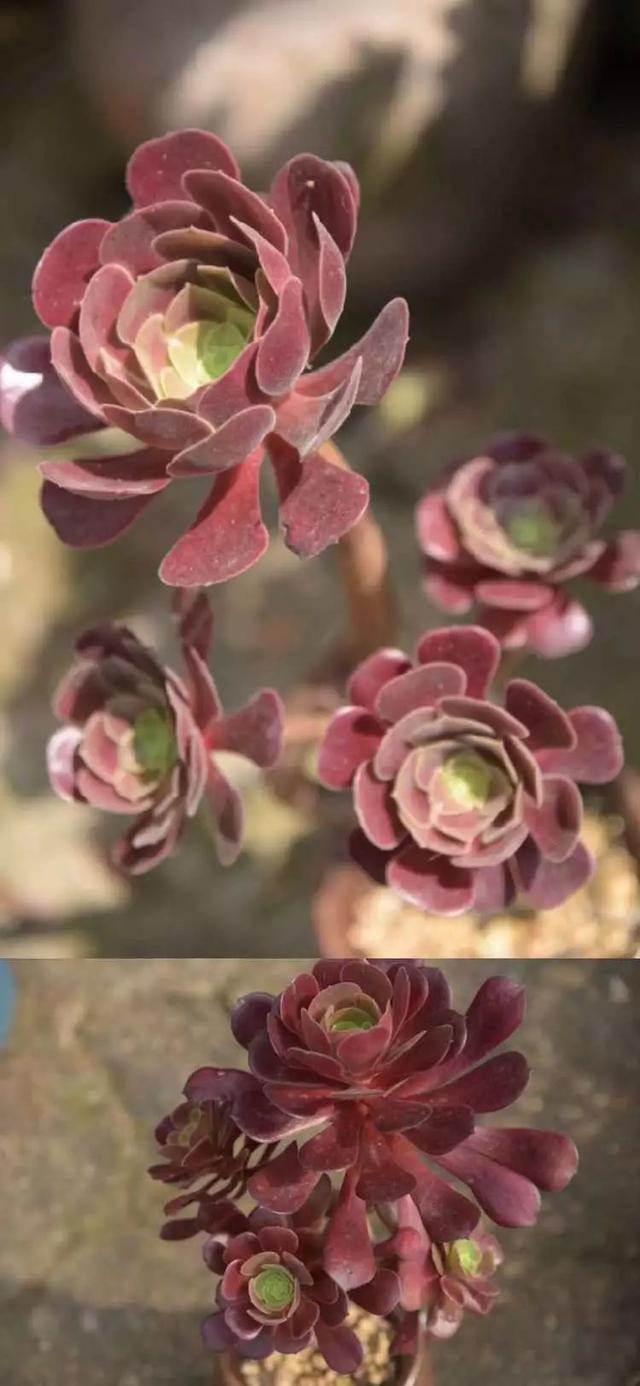 影片剧照