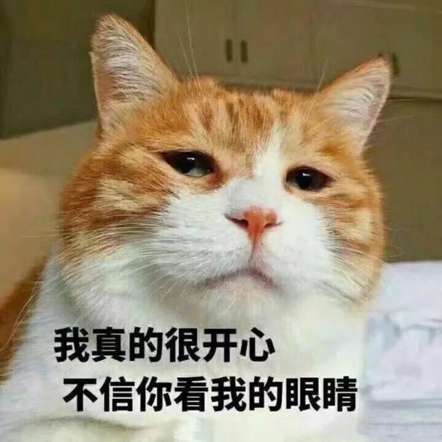 從不好用到真香，建議你將AppleMusic進行到底