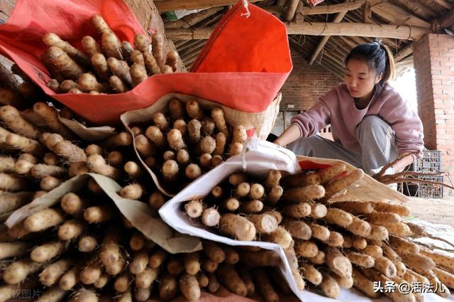 下周立冬，秋天仅剩最后10天，记得做好这3件事，排出体内垃圾