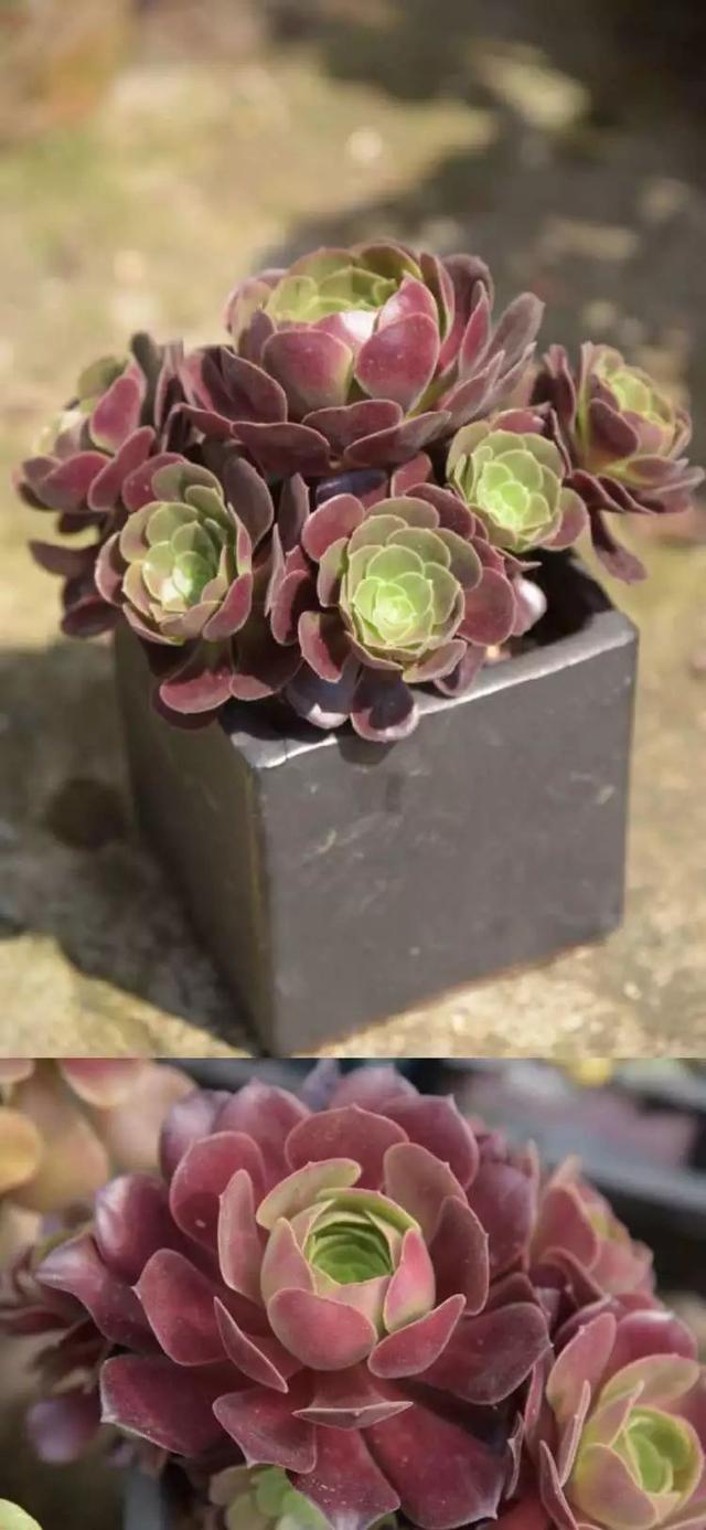影片剧照