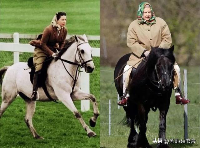 孟晚舟vs姚安娜：穷养和富养差距在哪儿