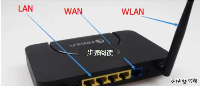 wan什么意思