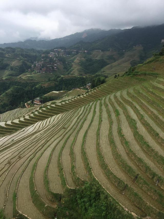 天门可逆锤式破碎机