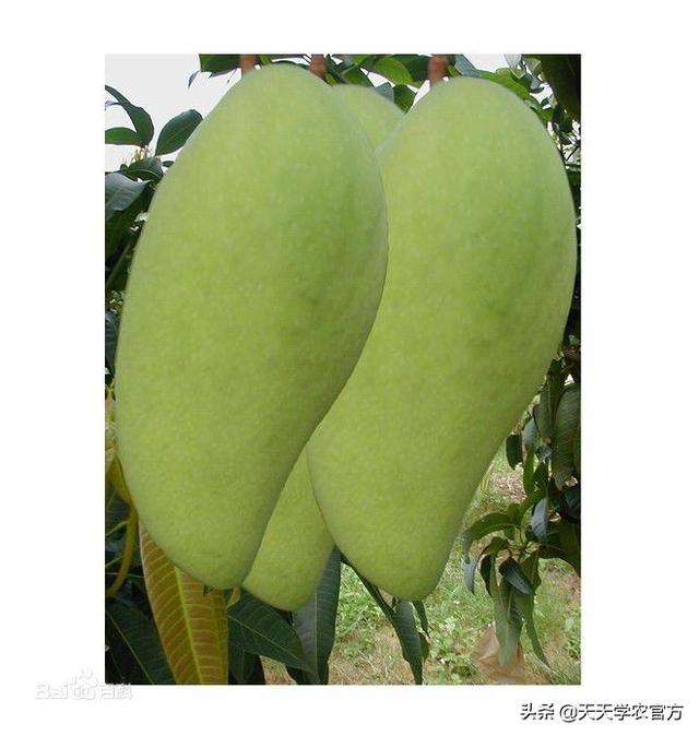普洱单缸圆锥破碎机哪家价格便宜