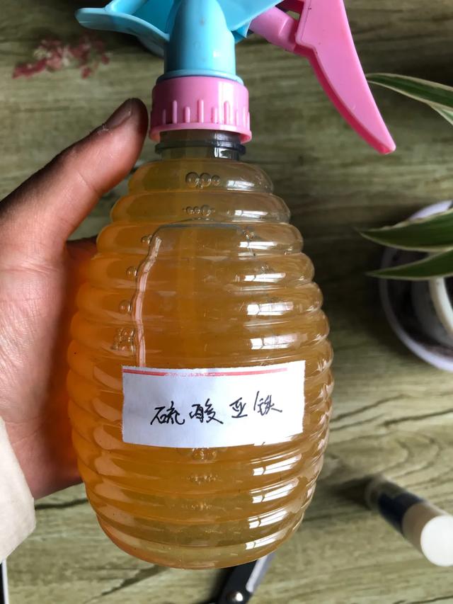 酸性土壤