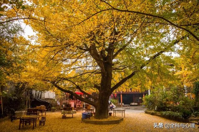 下半年,适合一个人出来的20个小众旅行地:累了,就出来走一走吧