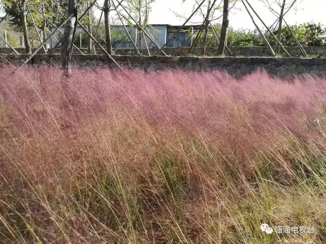 青州废水处理压滤机厂家