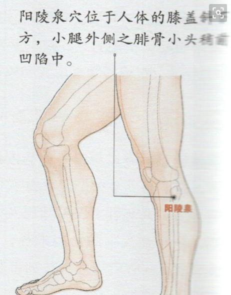 人体准确位置图和作用