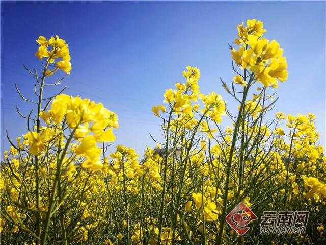 永德新型洗砂机厂商
