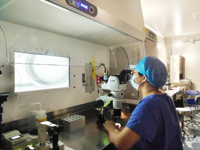 今天是“世界胚胎学家日”，图文揭秘试管婴儿的全过程