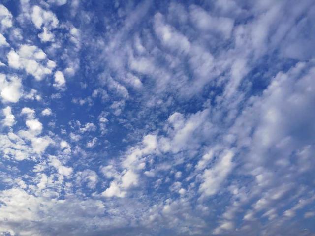 笑着活下去里最坏的是谁_笑着活下去讲的是什么故事