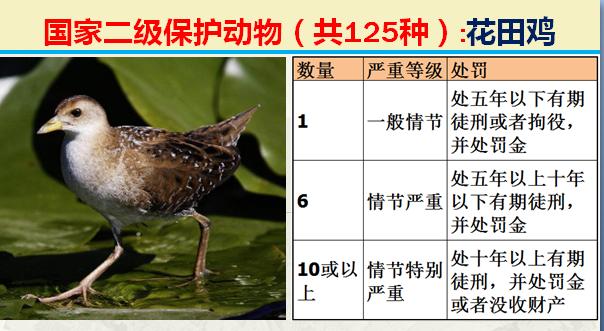 国家二级保护动物