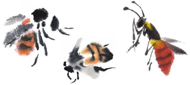 蜜蜂的画法 蜜蜂的画法