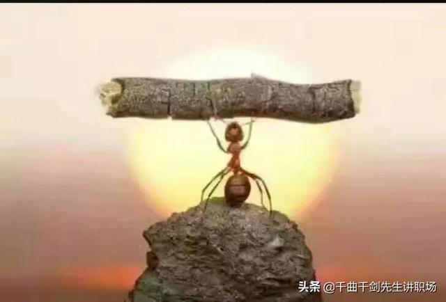 [云端云转发接收转账]，团建活动朋友圈发言