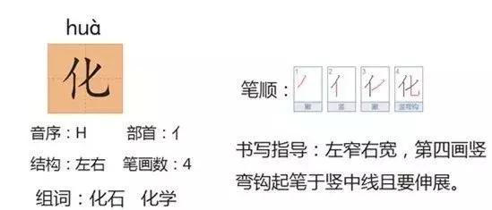 银杏水杉活化石是什么意思