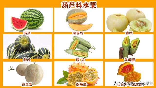 水果有哪些 水果有哪些（水果有哪些形状） 生活