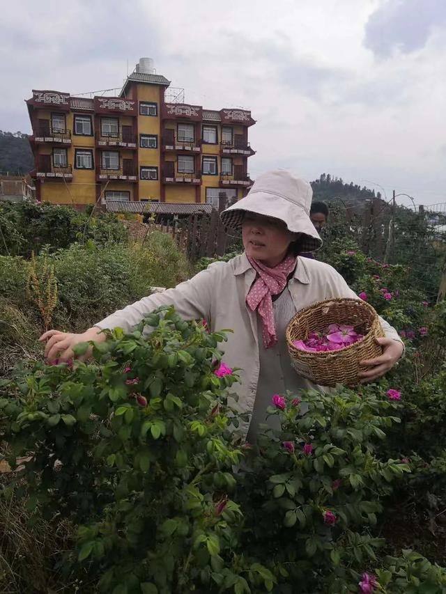 怎么解决孩子厌学问题(怎么判断孩子厌学)