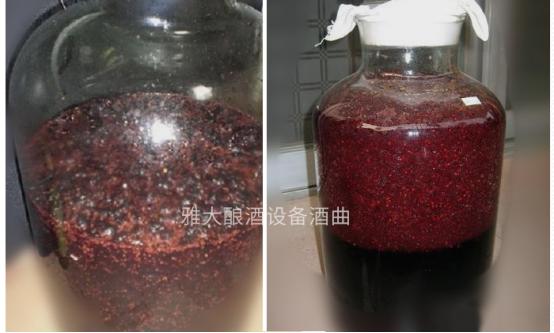 江西省梅子酒过滤机