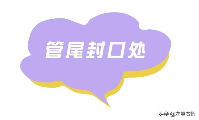 欧舒丹25%乳木果身体乳真假