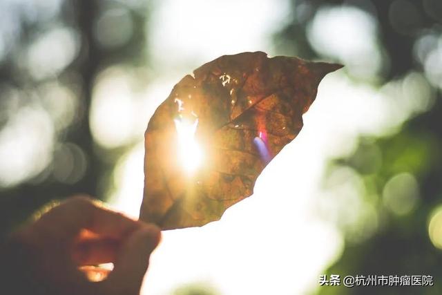 不怕困擾！我們愿做你的樹洞，等你來傾訴