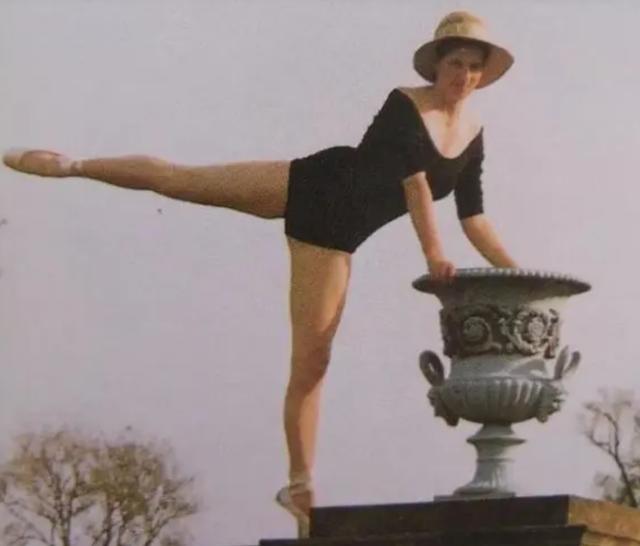 戴安娜卡米拉和查尔斯的故事（查尔斯双标）