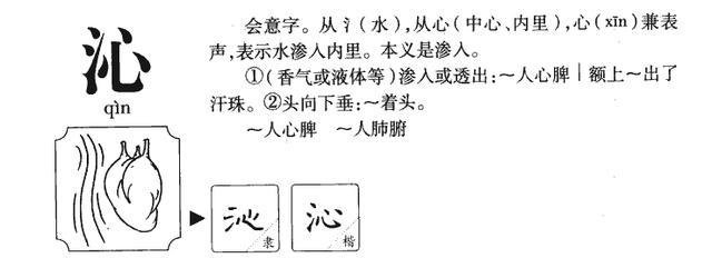 10个仪表堂堂的带沁字男宝宝名，个个高贵雅致