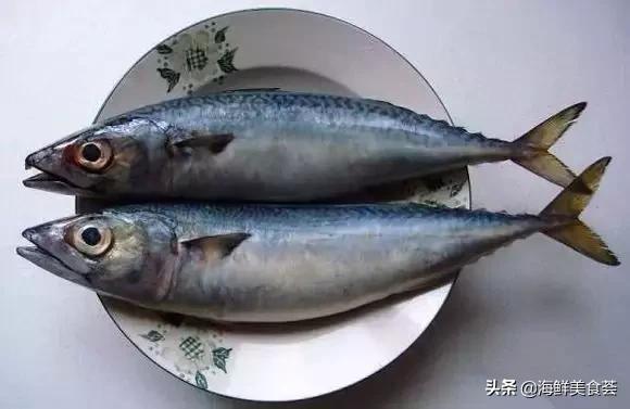 海鲜种类