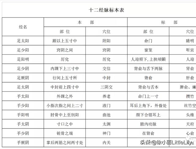 五腧穴理论及其运用