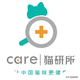 小猫的资料