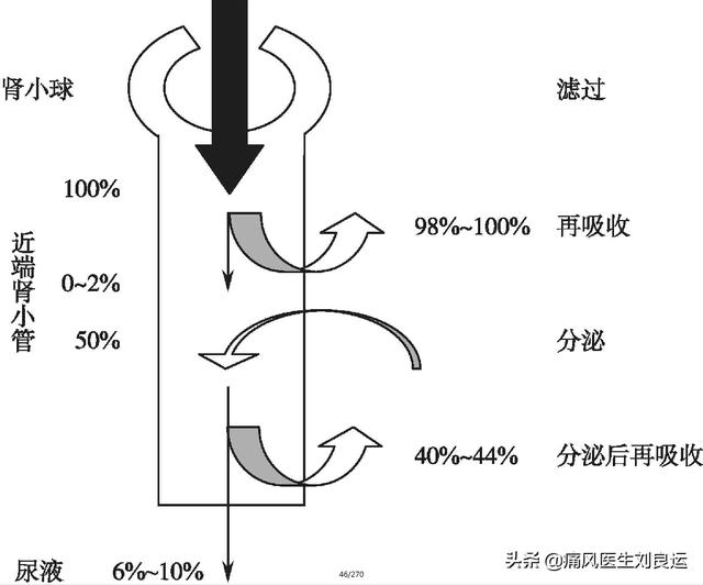 生化egfr检查什么意思