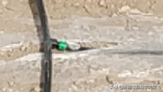 包含立式硅土过滤机的词条