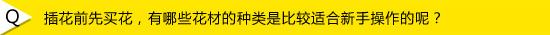 怎么学插花