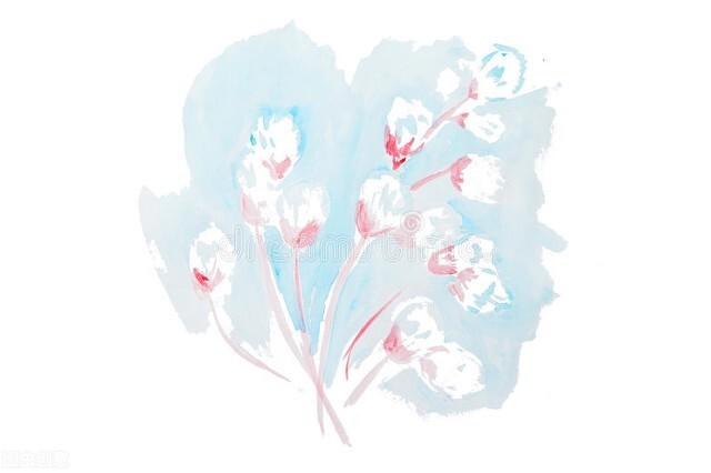 静待花开，与吾儿共同成长