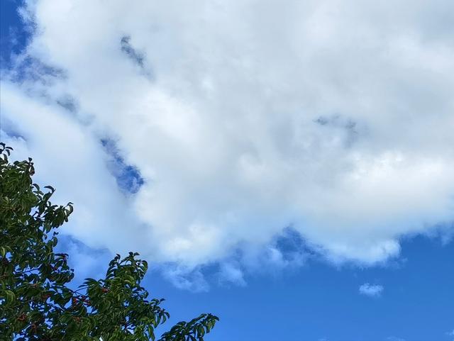 意不意外? 华为P50 Pro首测2: 网友要求再拍10组对比, 逼出它影像极限