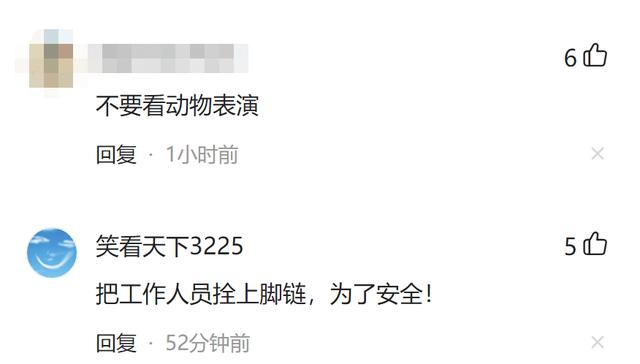 沈阳一景区疑似将孔雀绑在树上供游客观赏？其中一只孔雀脚已经红肿，景区：为了防止孔雀伤人
