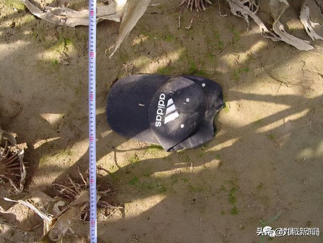 河北献县村民在玉米地发现男尸，警方：尸体已白骨化，线索征集中