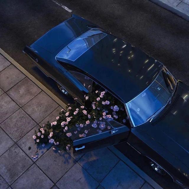 女主穿越暴君宠妃(暴君的宠妃岁岁千)