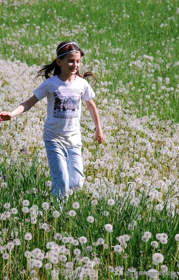 芳草如茵的意思