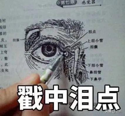 汗毛长不出来成了鸡皮肤