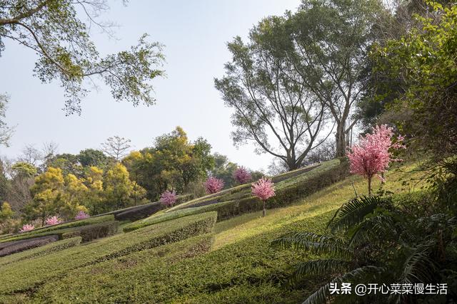 佛山有什么地方好玩的景点