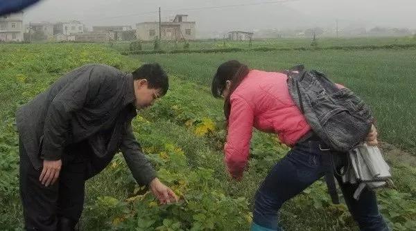 神了：这个药是农作物的救命药，不知什么病一喷真菌细菌病毒全杀