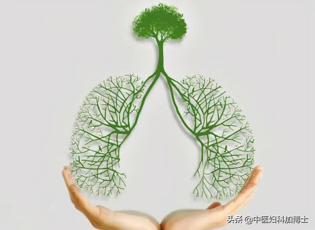 秋养肺，金生水！肺为肾之母，肺好肾水足