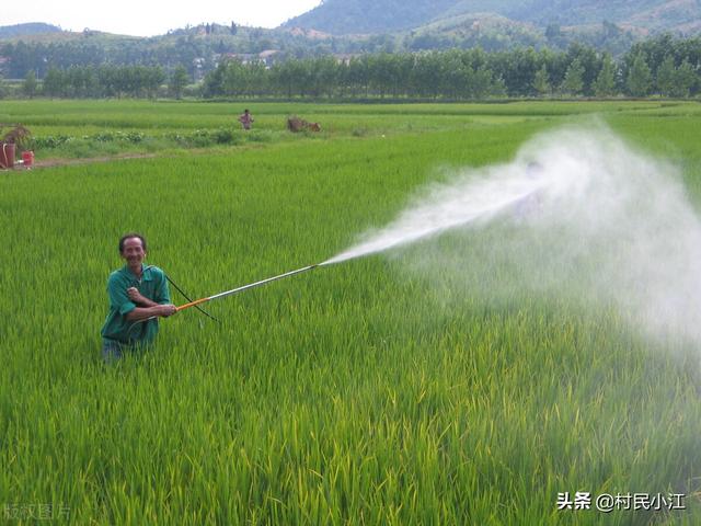 水稻常见病及防治方法1