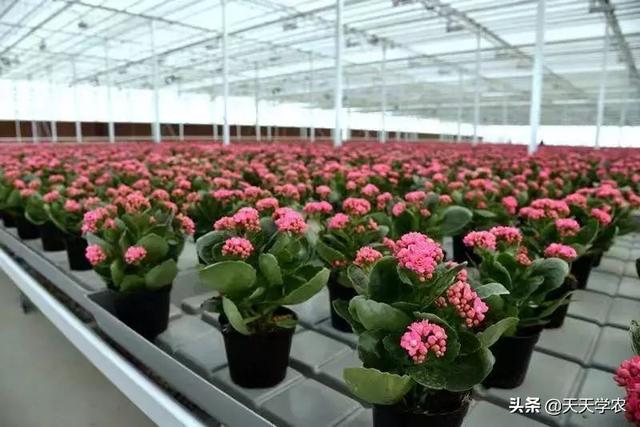 第26届杨凌农高会农业机械展