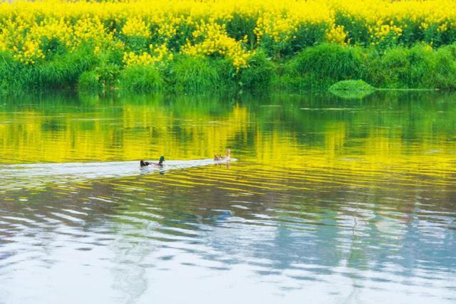 「原创诗词」万里云 | 惜春欲赋诗心老 辛丑仲春十词