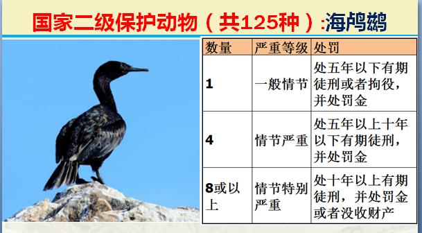 国家二级保护动物