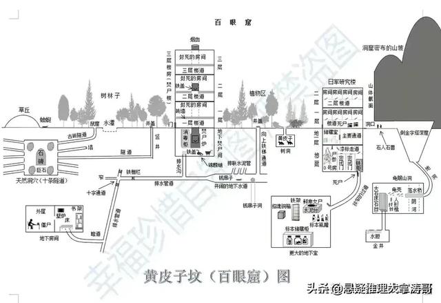 云南虫谷百度云电视剧网盘在线观看1080p完结版完整无删减资源