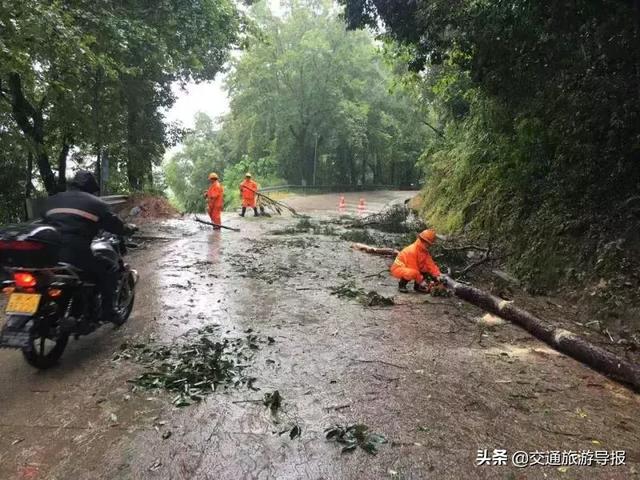乌市新市区进口轮式洗砂机