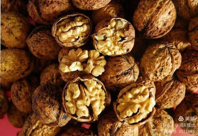 五味子的果实可以吃吗 五味子果能吃吗